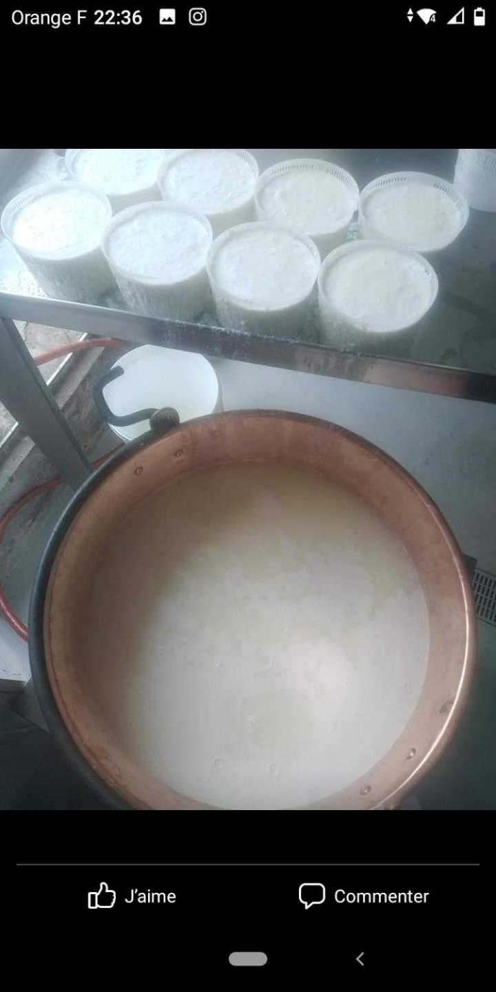 U Mulinu Appartement Moita Buitenkant foto